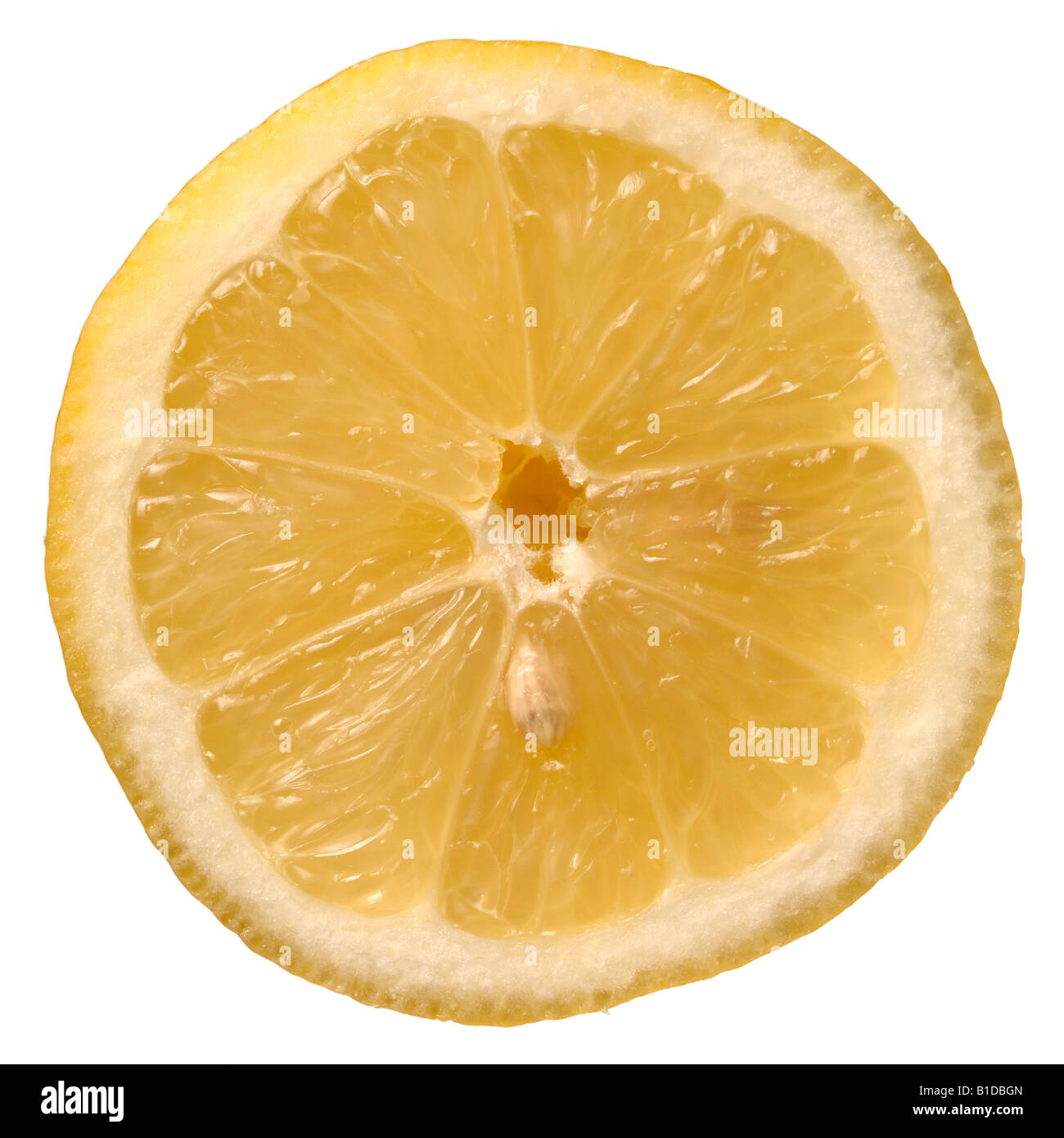 Slice of lemon Stock Photo