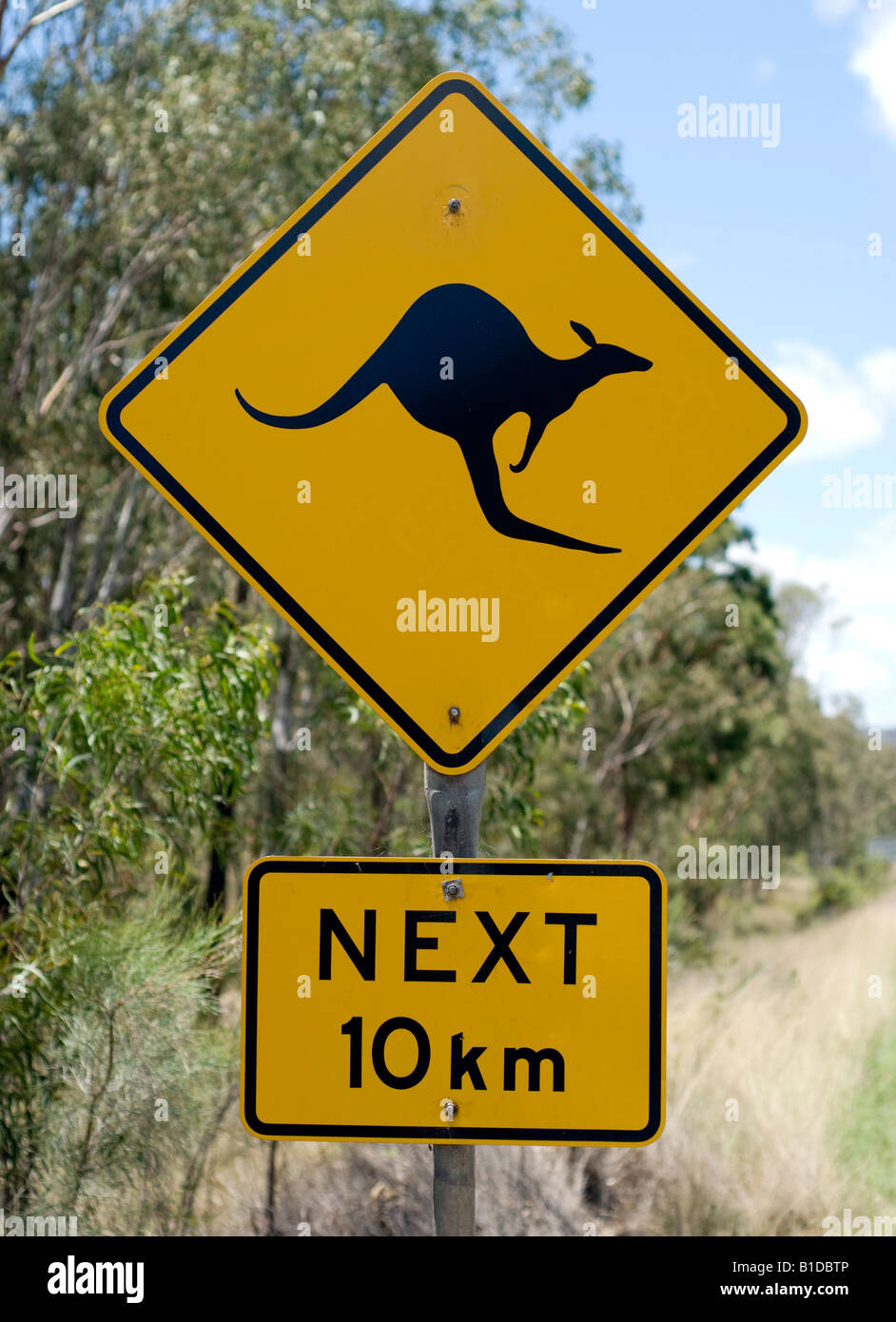 Kangaroos warning sign Stock Photo Alamy