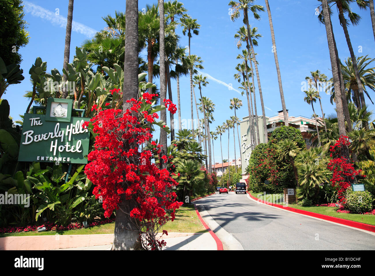 Palm trees along boulevard, Beverly Hills, Los Angeles, California, United  States of America Stock Photo - Alamy