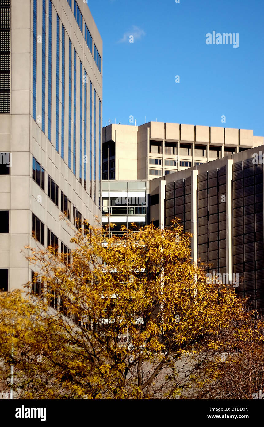 Multi Office Buildings Stock Photo - Alamy