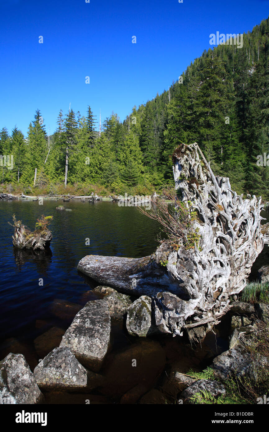Prudhomme Lake Provincial Park Prince Rupert British Columbia Stock