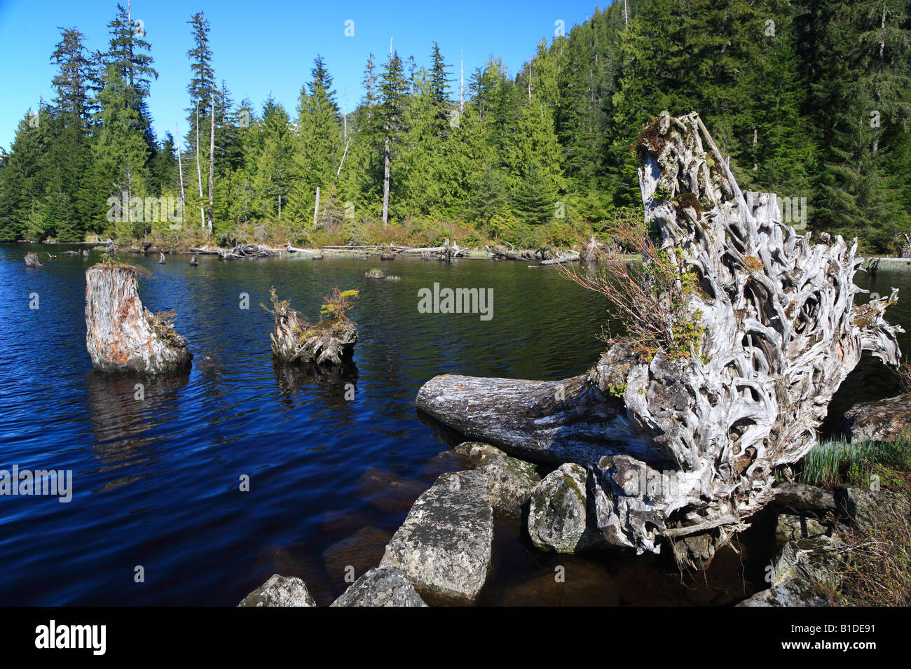 Prudhomme lake provincial park hires stock photography and images Alamy