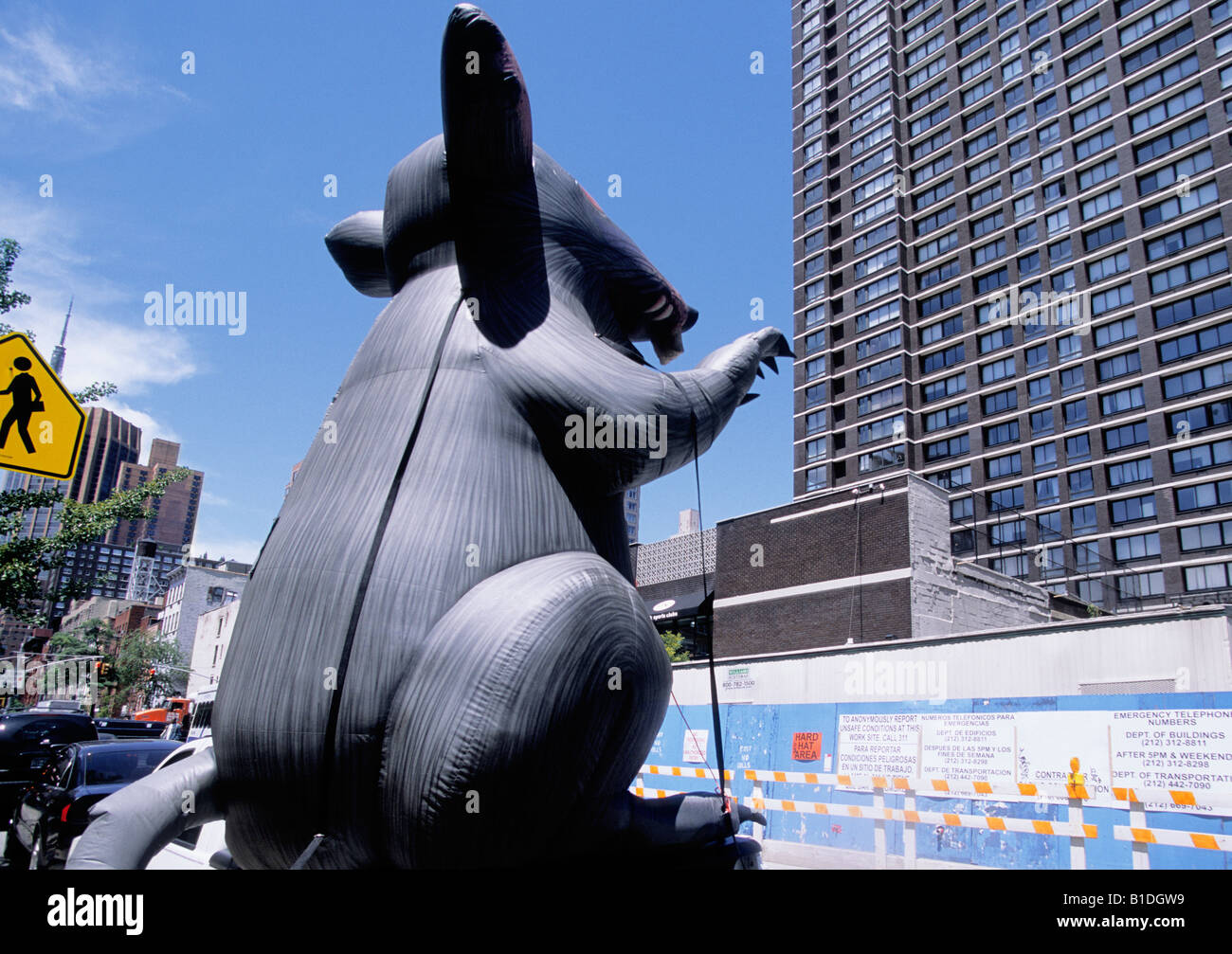 USA New York City NYC Non Union Construction Site Inflatable Rat Stock ...