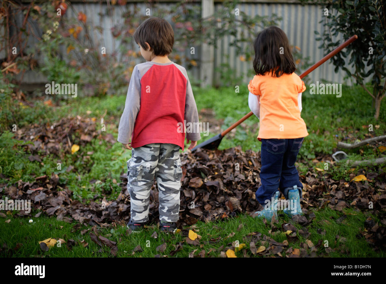 Boy And Girl Rake Autumn Leaves High Resolution Stock Photography and ...