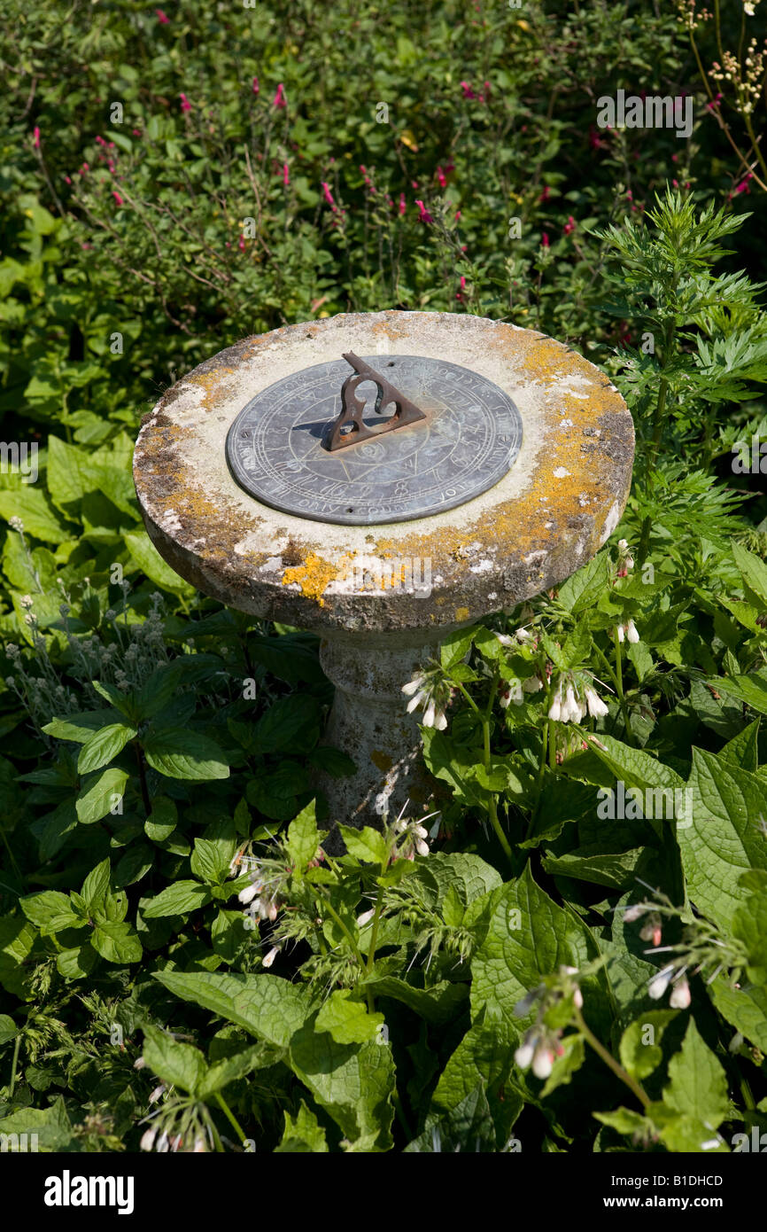 A garden ornament stone sundial set in a green leaf bed Stock Photo