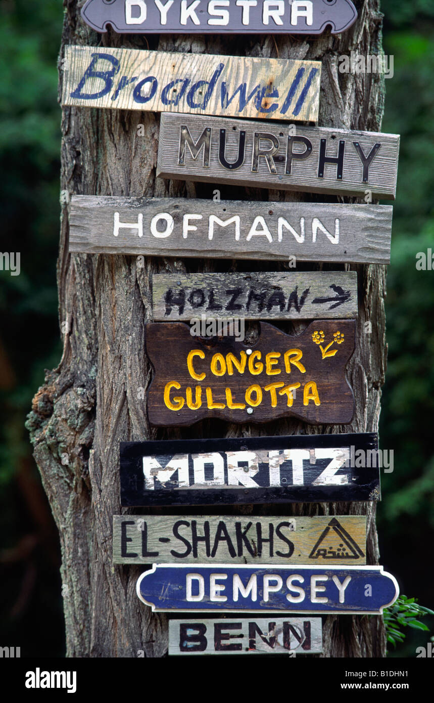 Family names posted on a tree along a country road, Maine Stock Photo