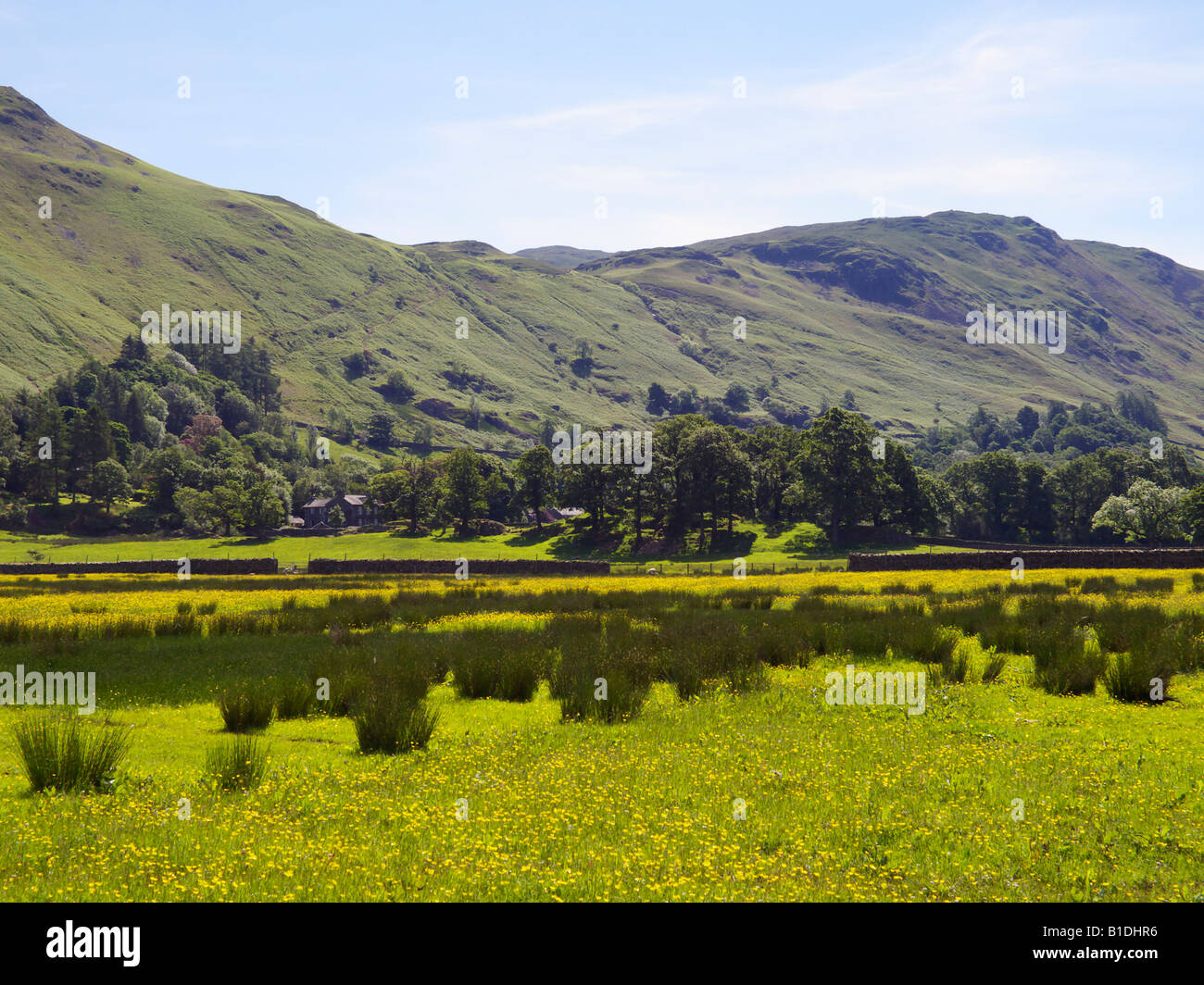 Summer evening at Patterdale near Ullswater in the English Lake District Stock Photo