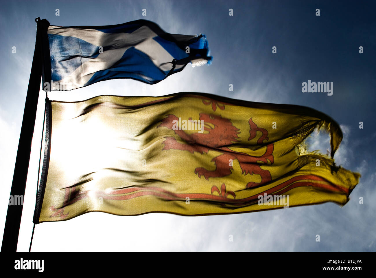 A Scottish Saltire flag blows in the wind above a Lion Rampant flag. The saltire represents the countries patron saint St Andrew Stock Photo