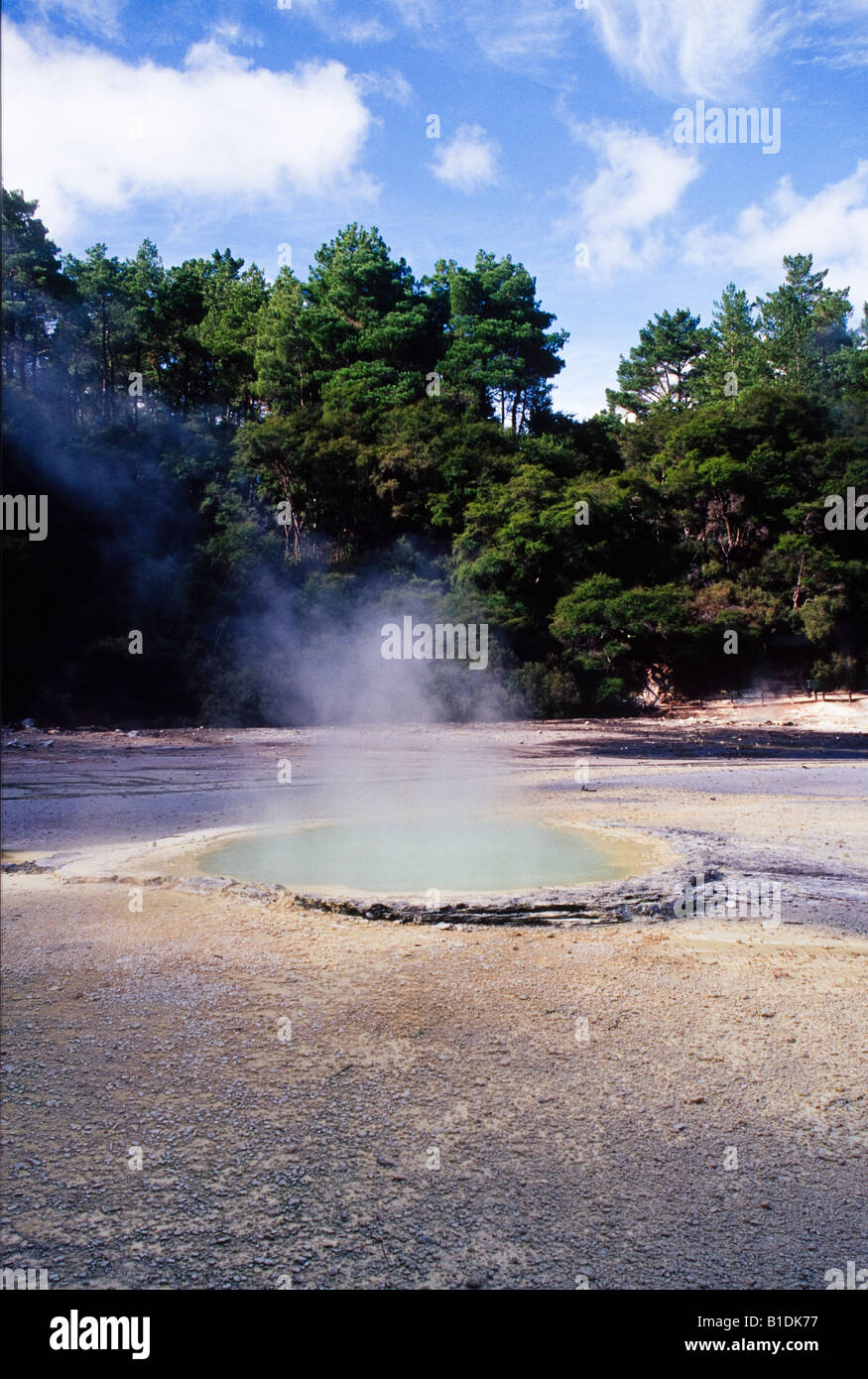 Volcanic pool in Waiotapu, Rotorua, New Zealand Stock Photo - Alamy