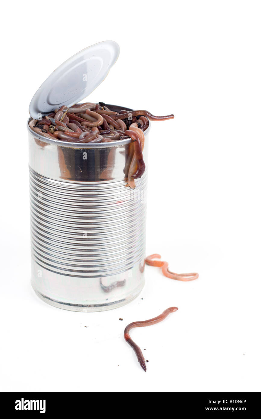 Can of worms hires stock photography and images Alamy