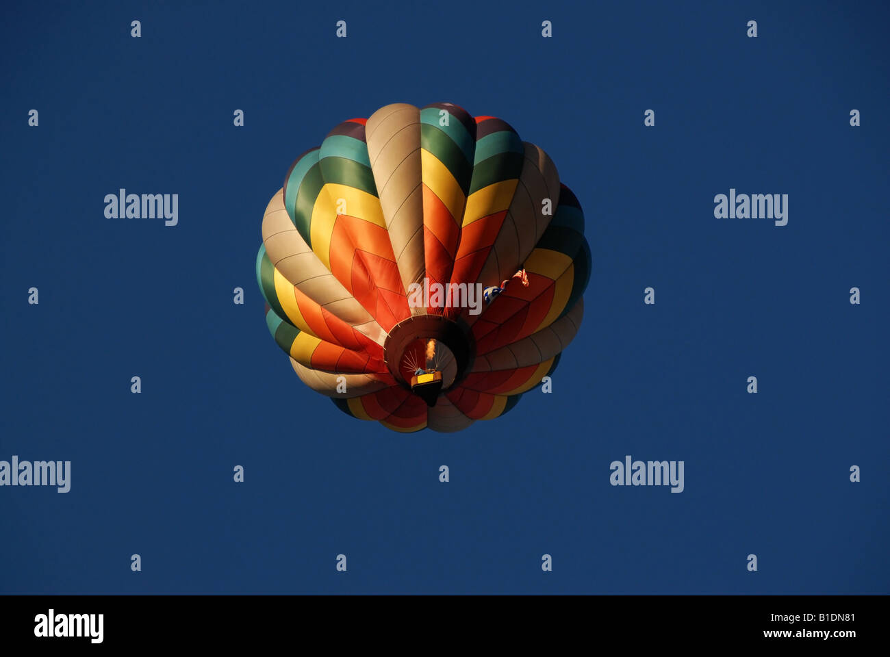 one hot air balloon in blue sky Stock Photo - Alamy