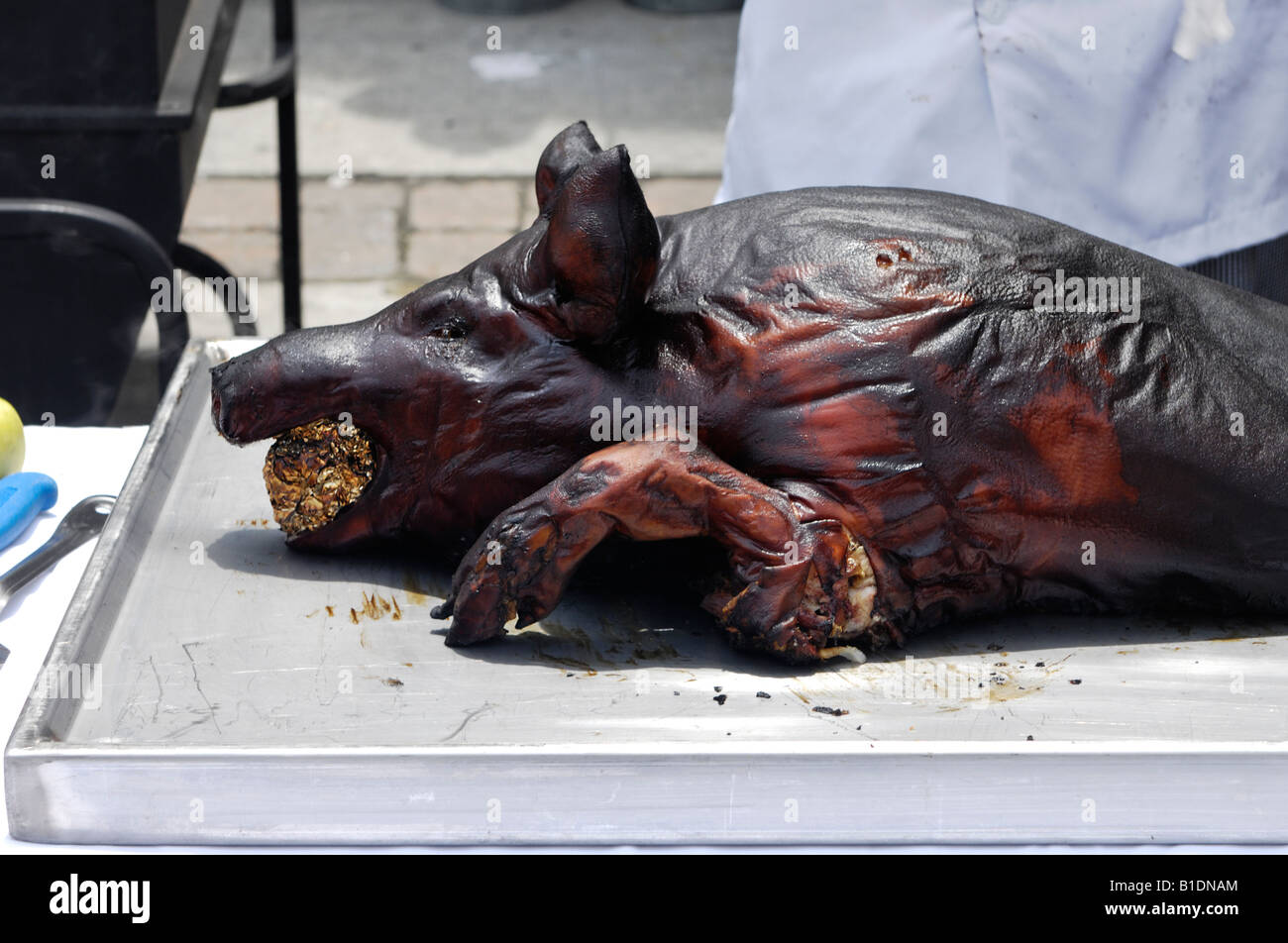 Roasted pig on a tray Stock Photo