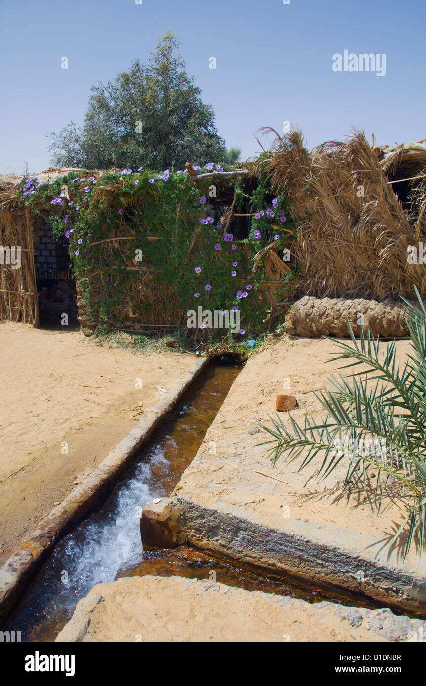 Irrigation In Egypt Stock Photos & Irrigation In Egypt Stock Images Alamy