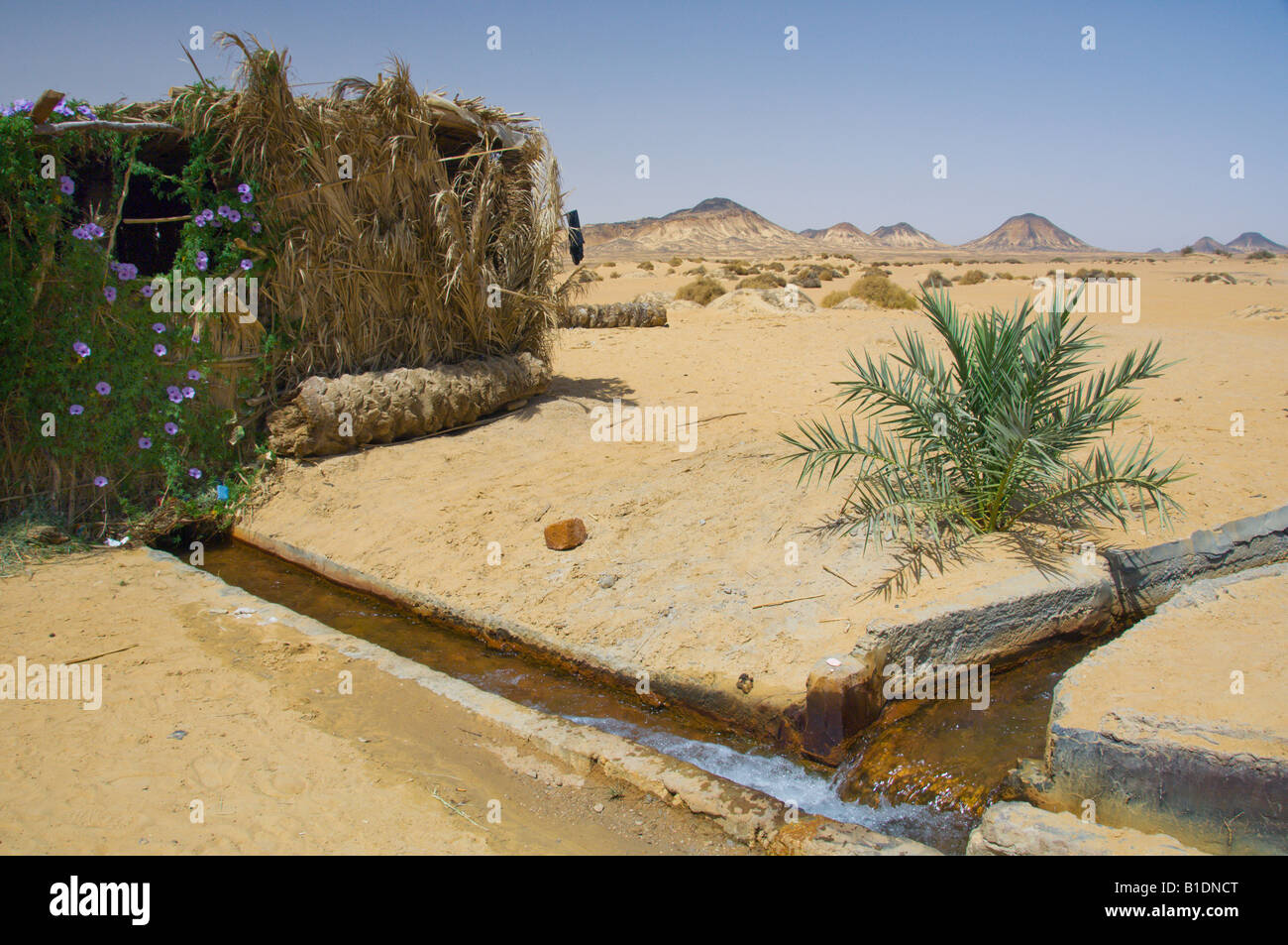 Water Irrigation Egypt High Resolution Stock Photography and Images Alamy