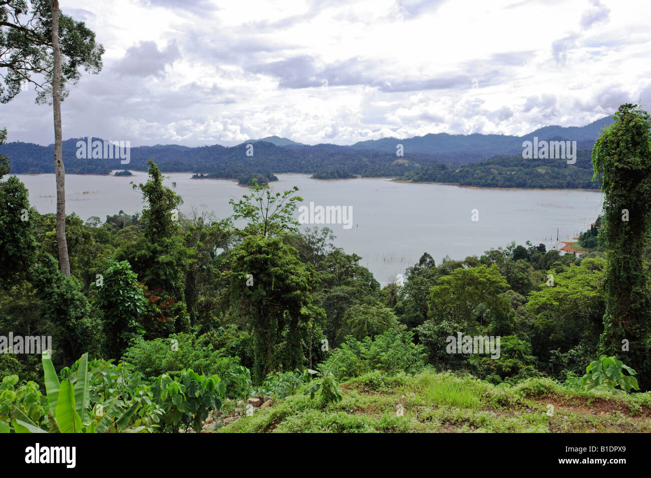 Lake Kenyir In Terengganu Malaysia Stock Photo Alamy