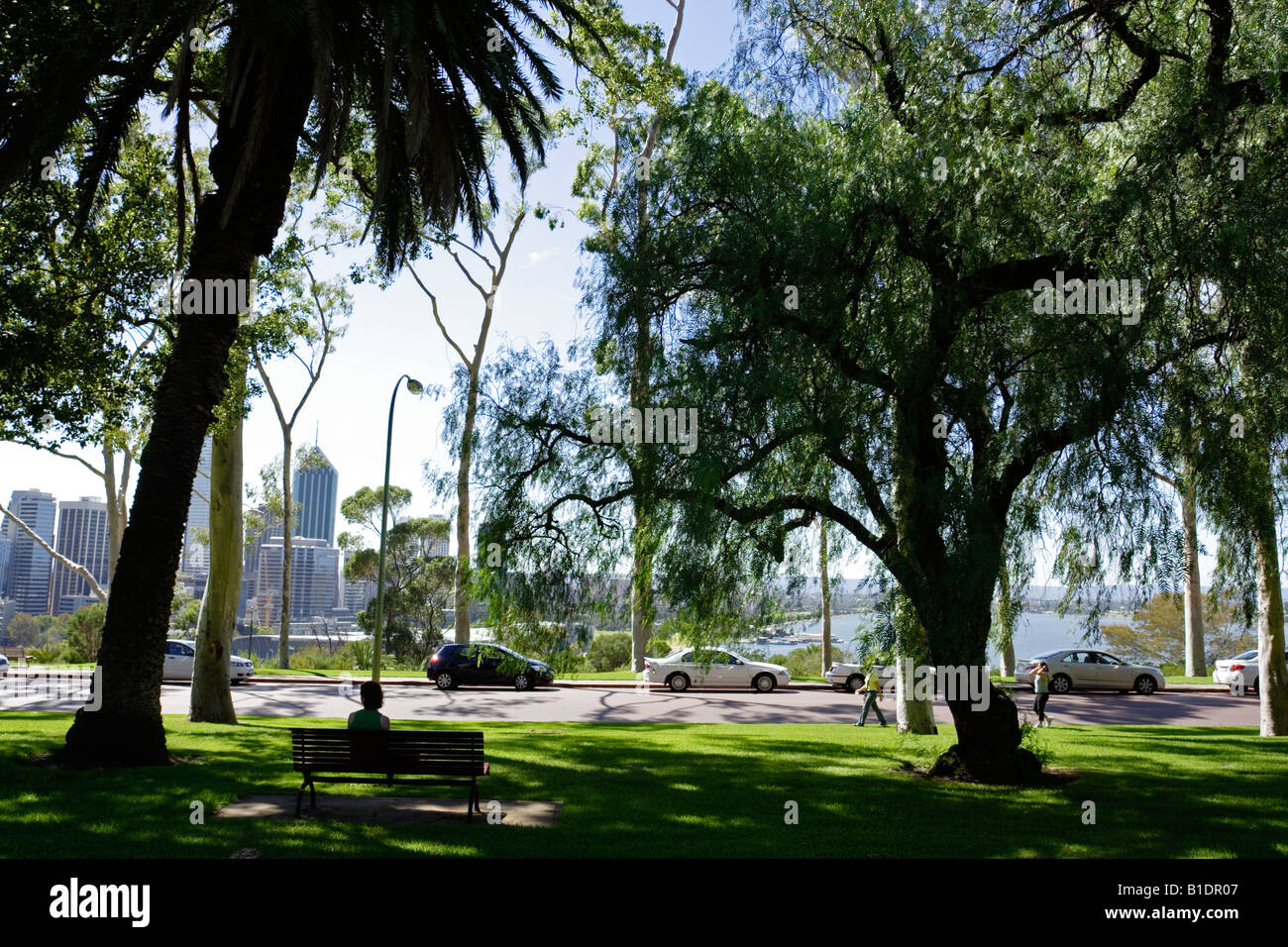 Kings Park in Perth, Western Australia Stock Photo
