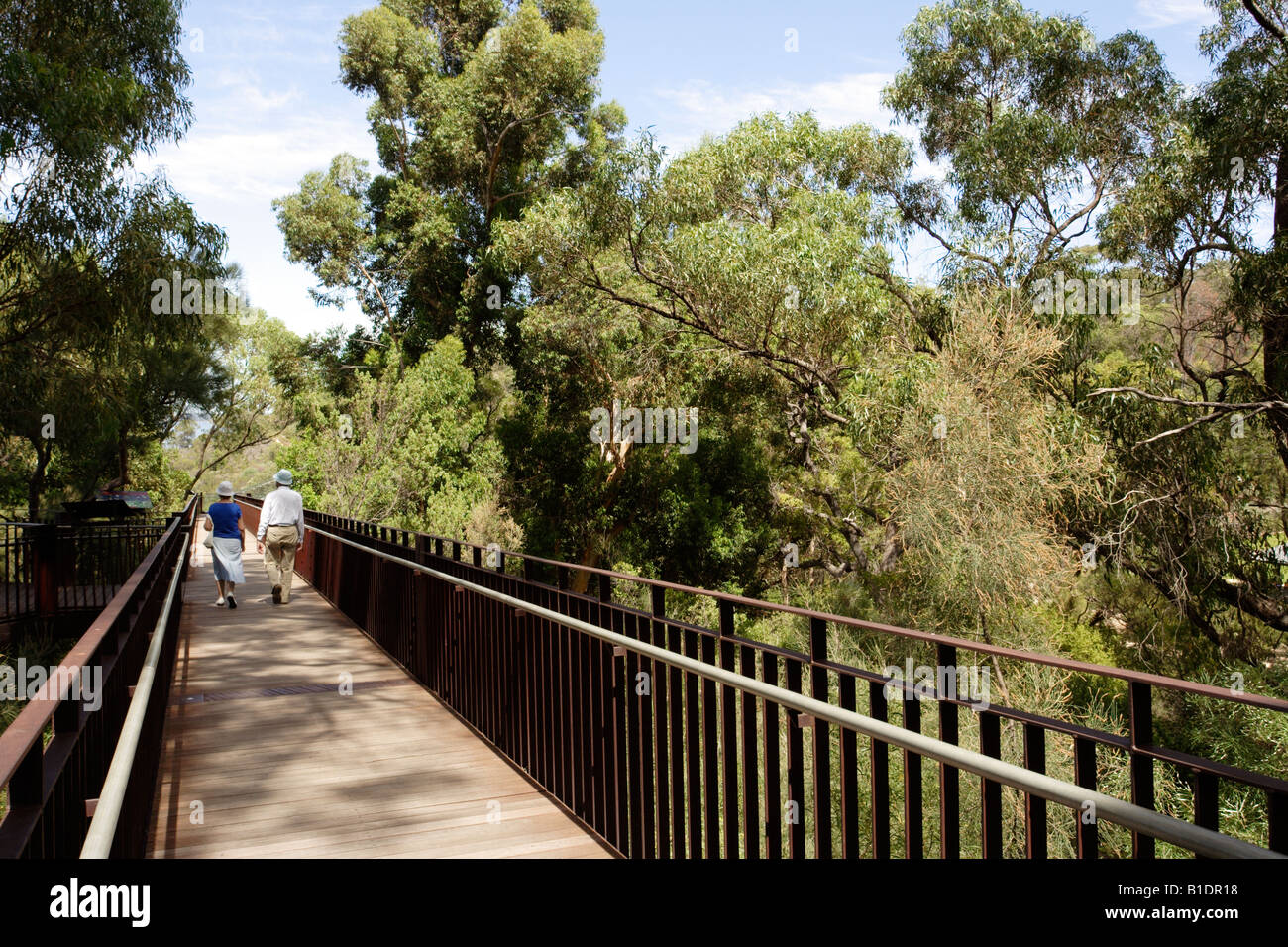 Elevated walkway at Kings Park in Perth, Western Australia. Stock Photo