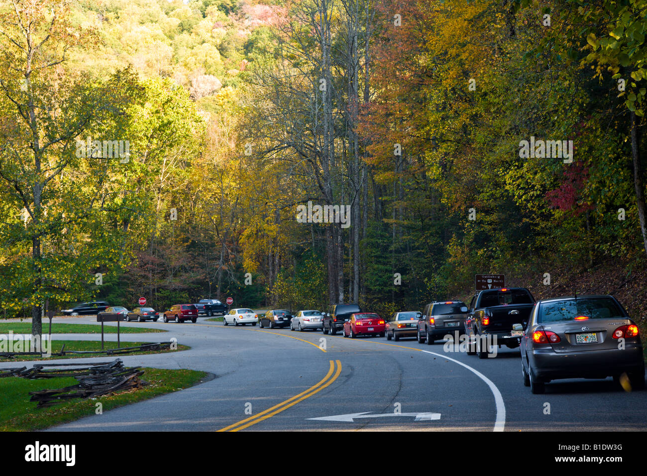Line of cars leaving Cades Cove during leaf peeping season in the Great