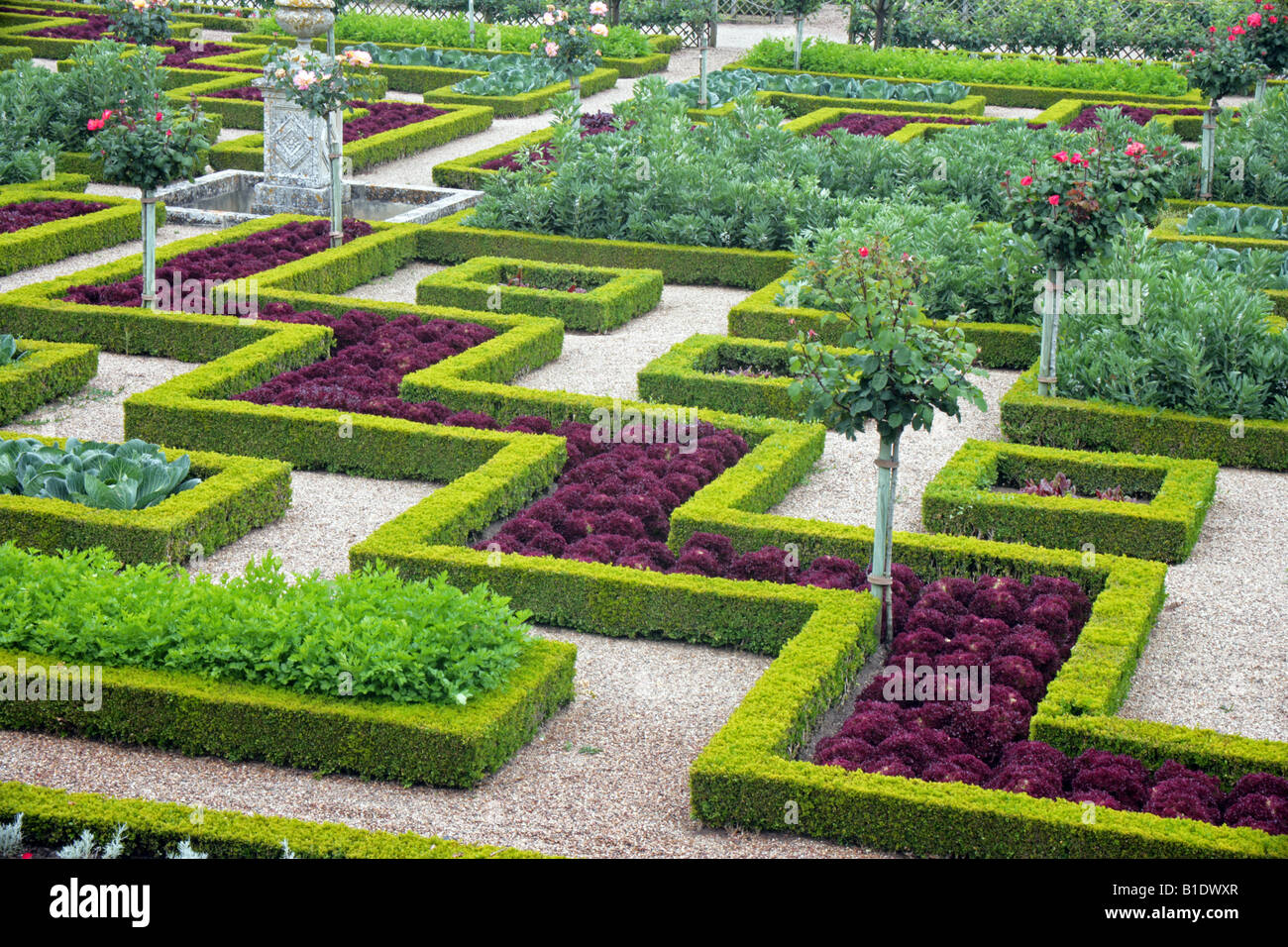 Chateau de Villandry ornamental vegetable garden Loire Valley Touraine Stock Photo