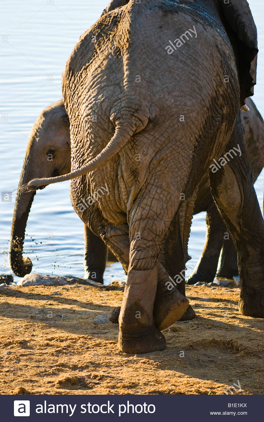 Crossed Leg High Resolution Stock Photography and Images Alamy