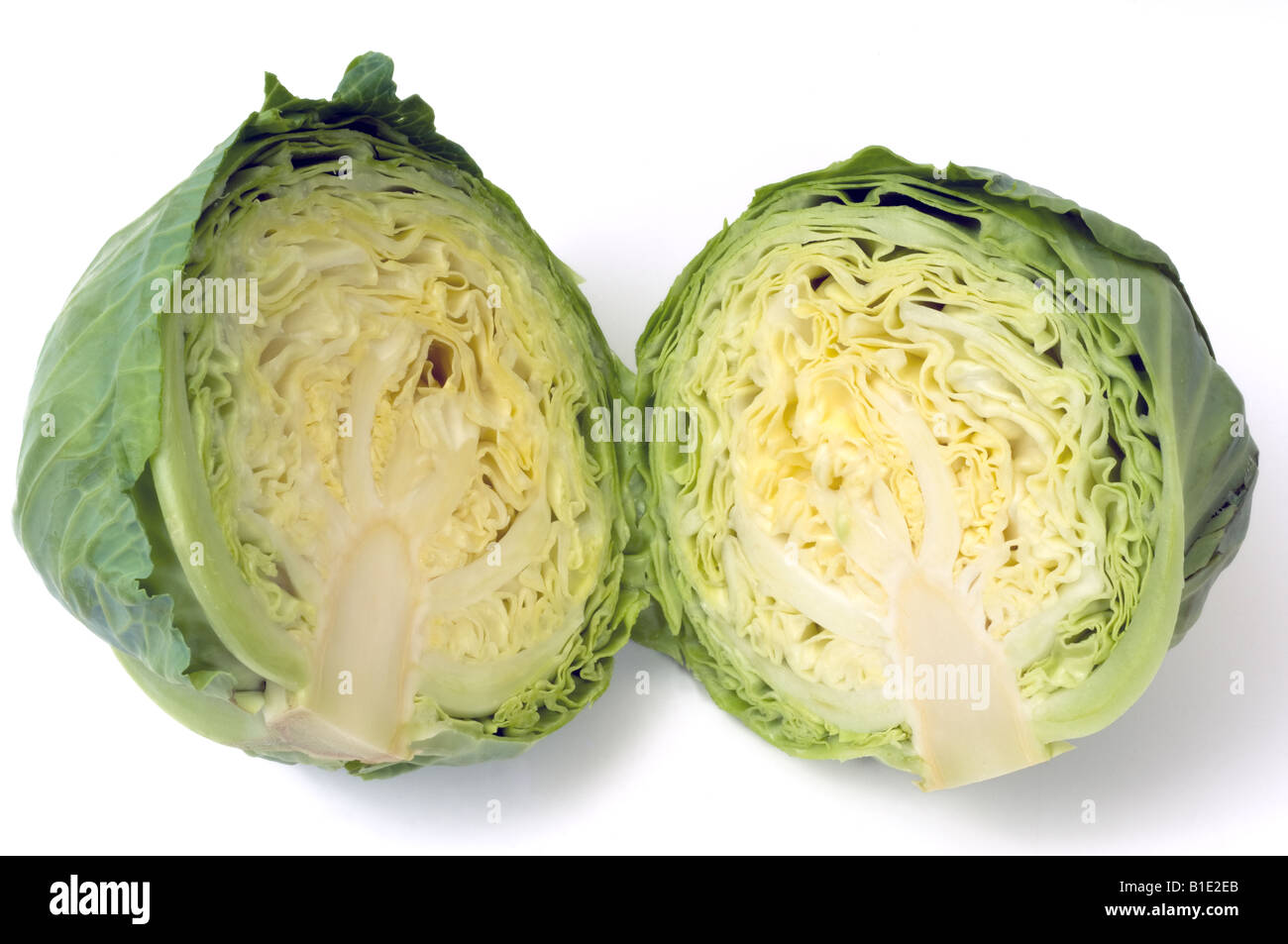Green cabbage cut in half Stock Photo