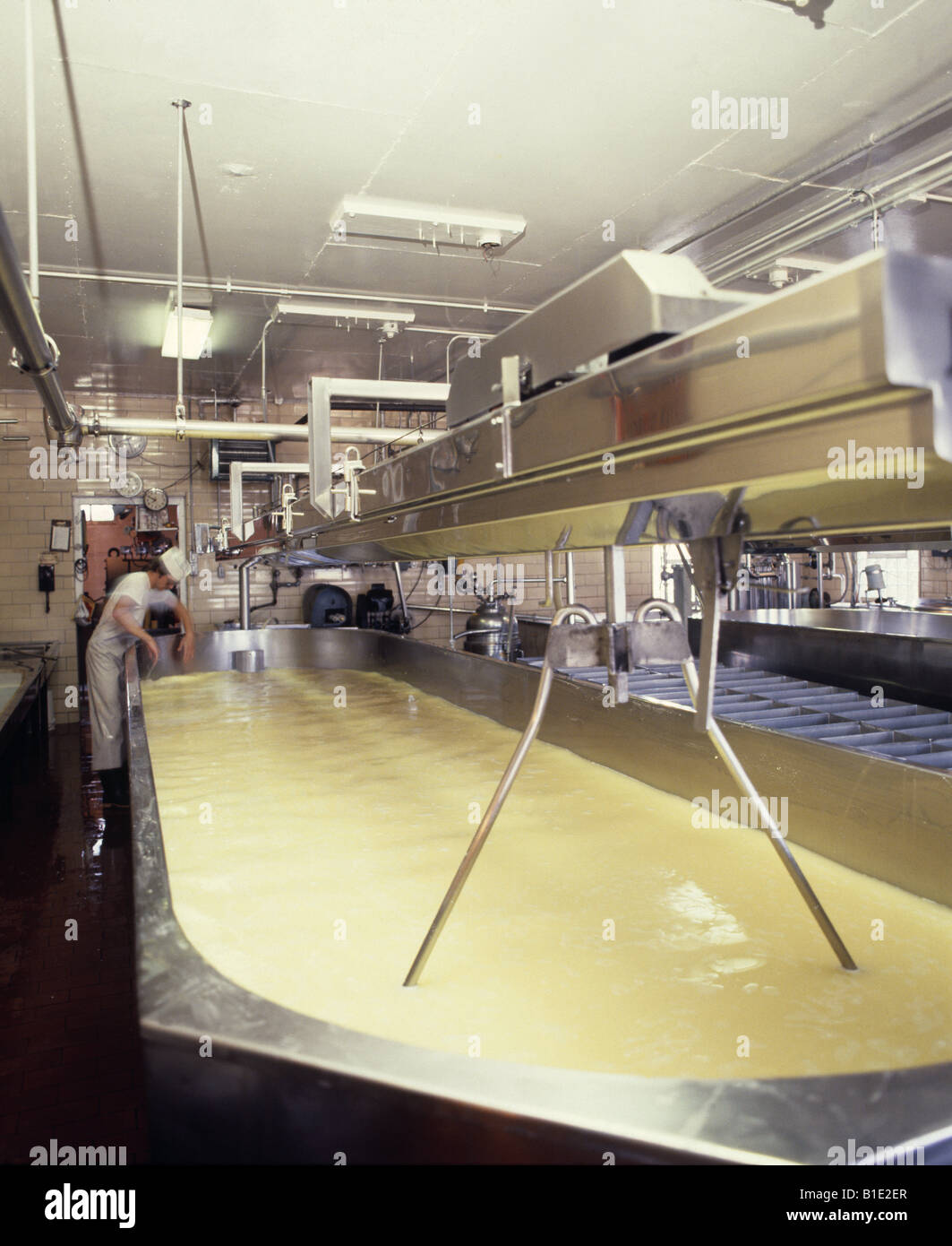 MAKING MUENSTER CHEESE STIRRING MILK IN HEATING TANK WISCONSIN Stock Photo Alamy