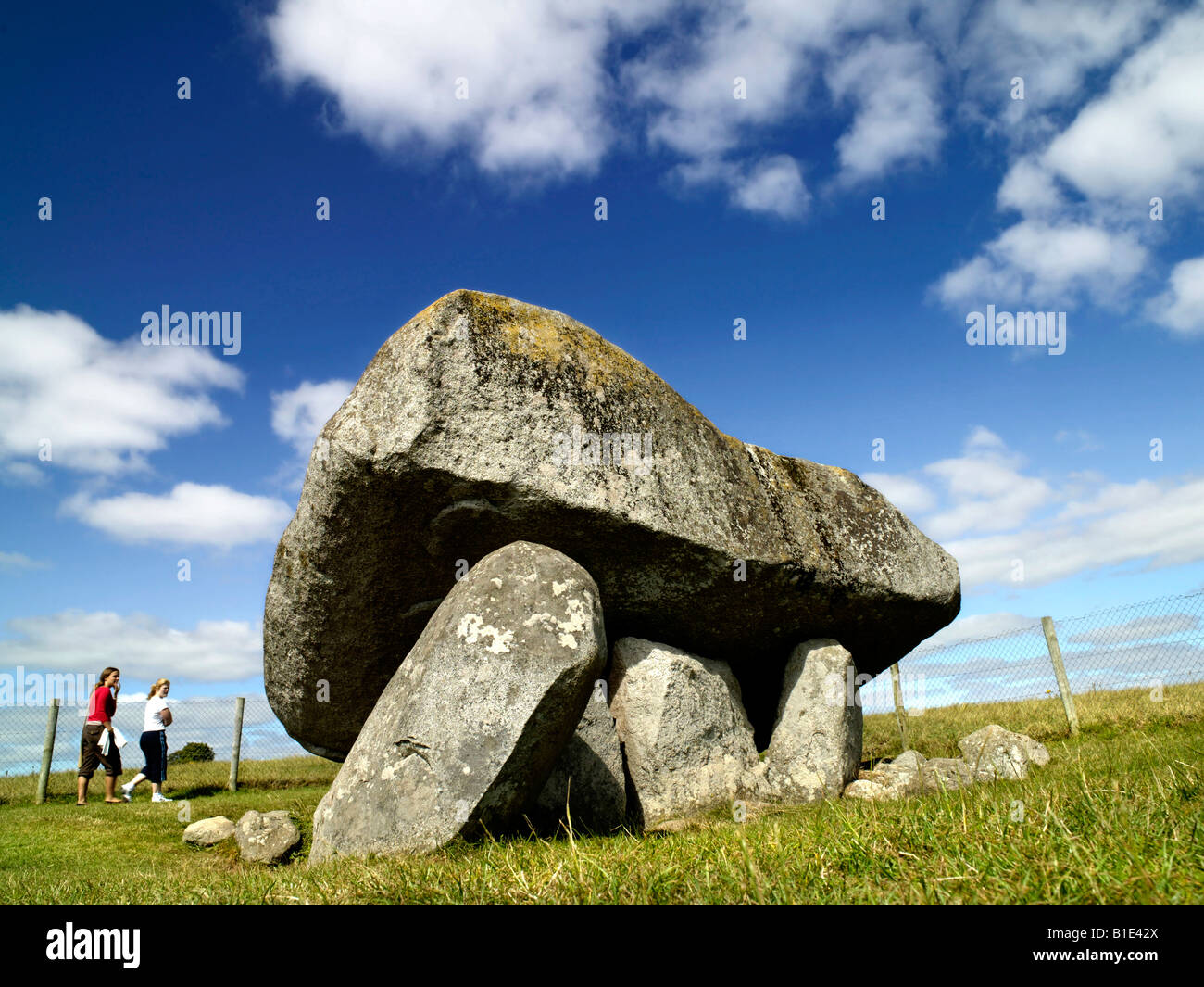 Brownshill Dolmen, Dolmen Carlow Stock Photo Alamy