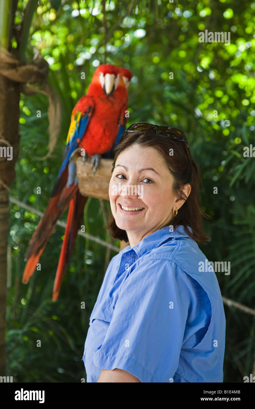 Caucasian woman posing with a pair of Macaws in Cancun on the Yucatan Peninsula in Quintana Roo Mexico Stock Photo