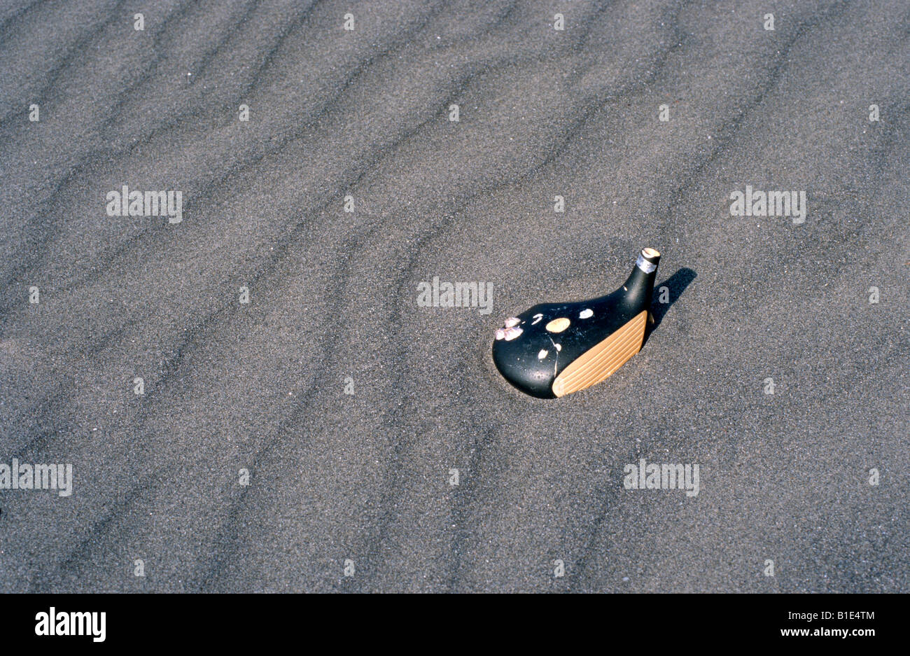 Old golf club head with barnacles sitting in windblown sand. Stock Photo