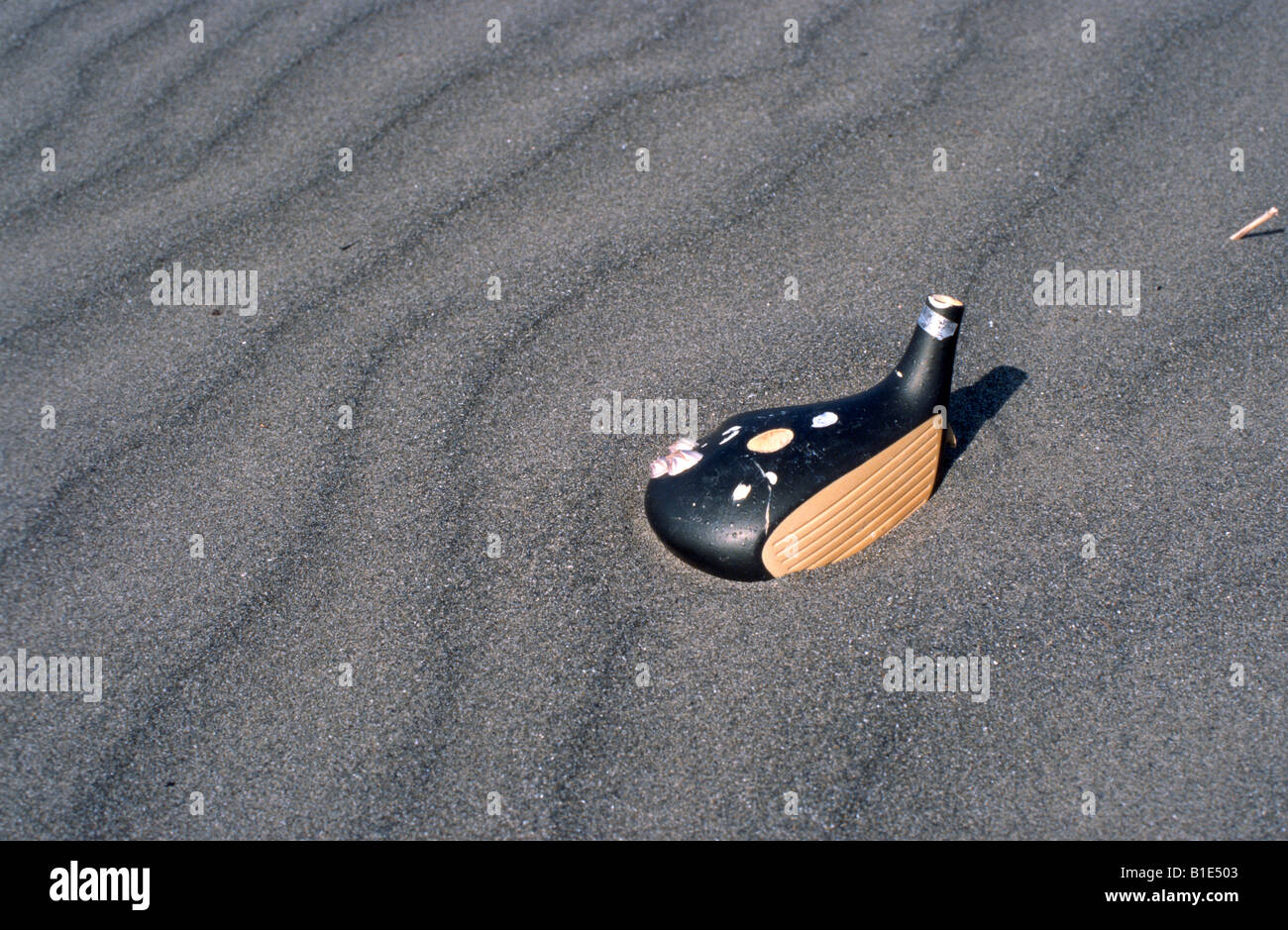 Old golf club head with barnacles sitting in windblown sand. Stock Photo