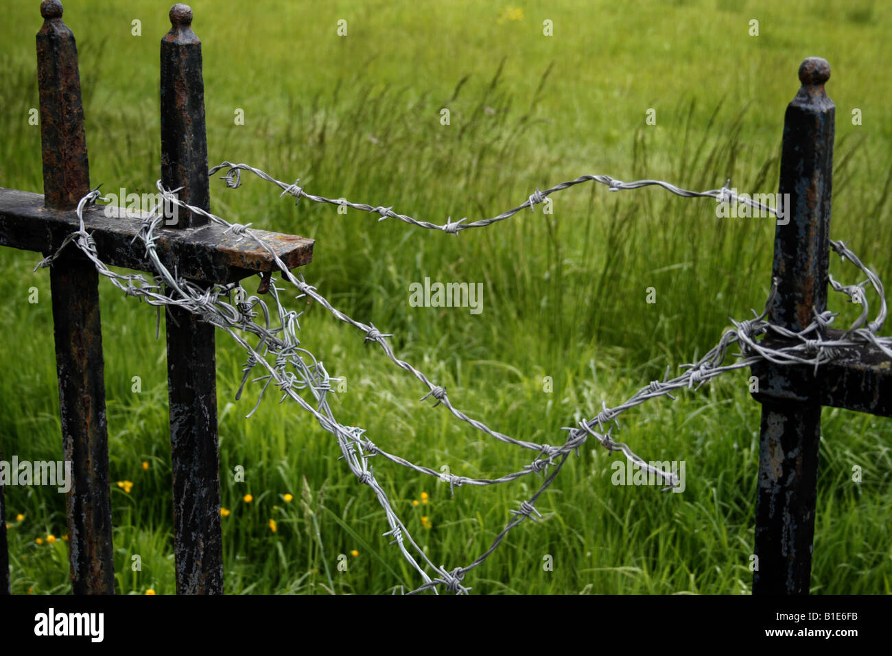 barbed wire on metal fencing posts england uk 2008 Stock Photo Alamy
