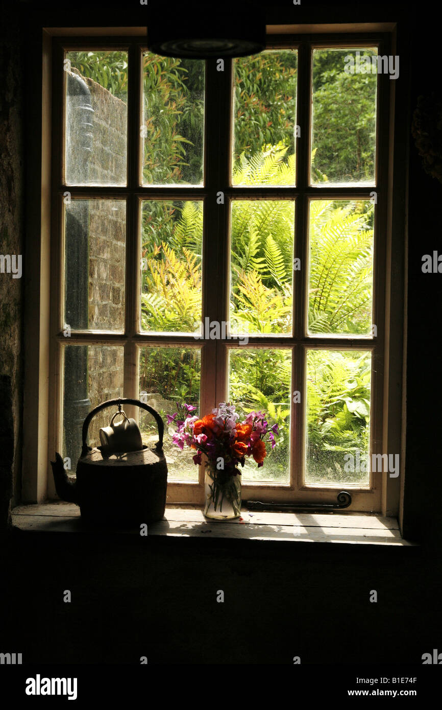 The Garden Window Sunny Day Through The Window Ferns Waving In The Stock Photo Alamy