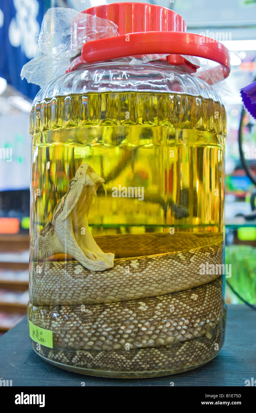 Okinawan Snake Wine or Habushu on Display in one of the Many Tourist  Souvenir Shops on Kokusai Dori, Naha, Okinawa, Japan Stock Photo - Alamy