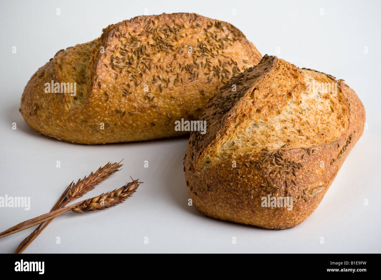 Two loaves of rye bread on white seamless Two dried stalks of rye seed ...