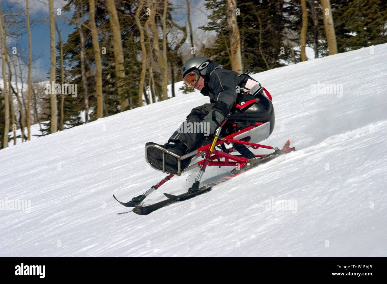 Mono-skier skiing down slope at ski-camp in Telluride Colorado Stock Photo