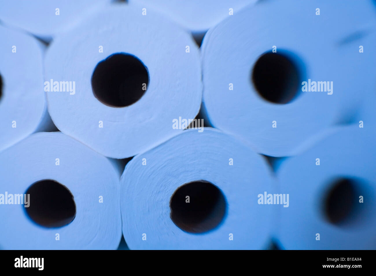 Close up view of ends of toilet paper rolls stacked together Alaska United States Stock Photo