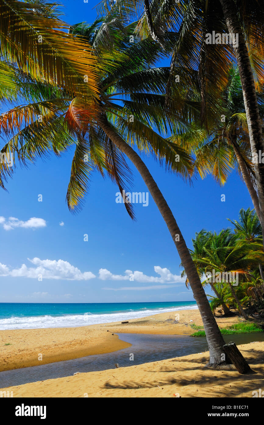 The beautiful and fast Los Pinos Beach near Maunabo in south east Puerto Rico Stock Photo