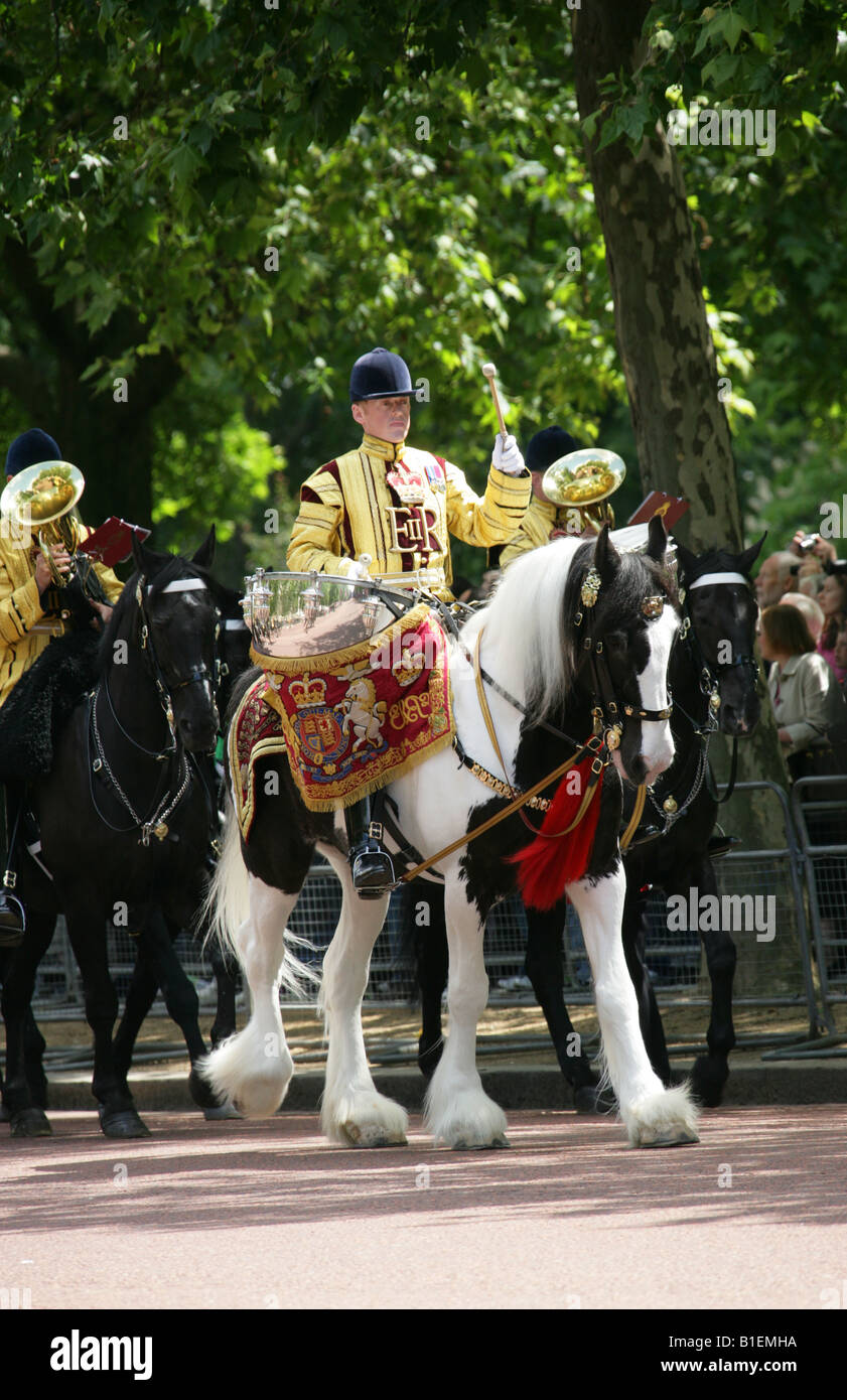 One of the Two Magnificent Drum Horses that Lead the Mounted Band in