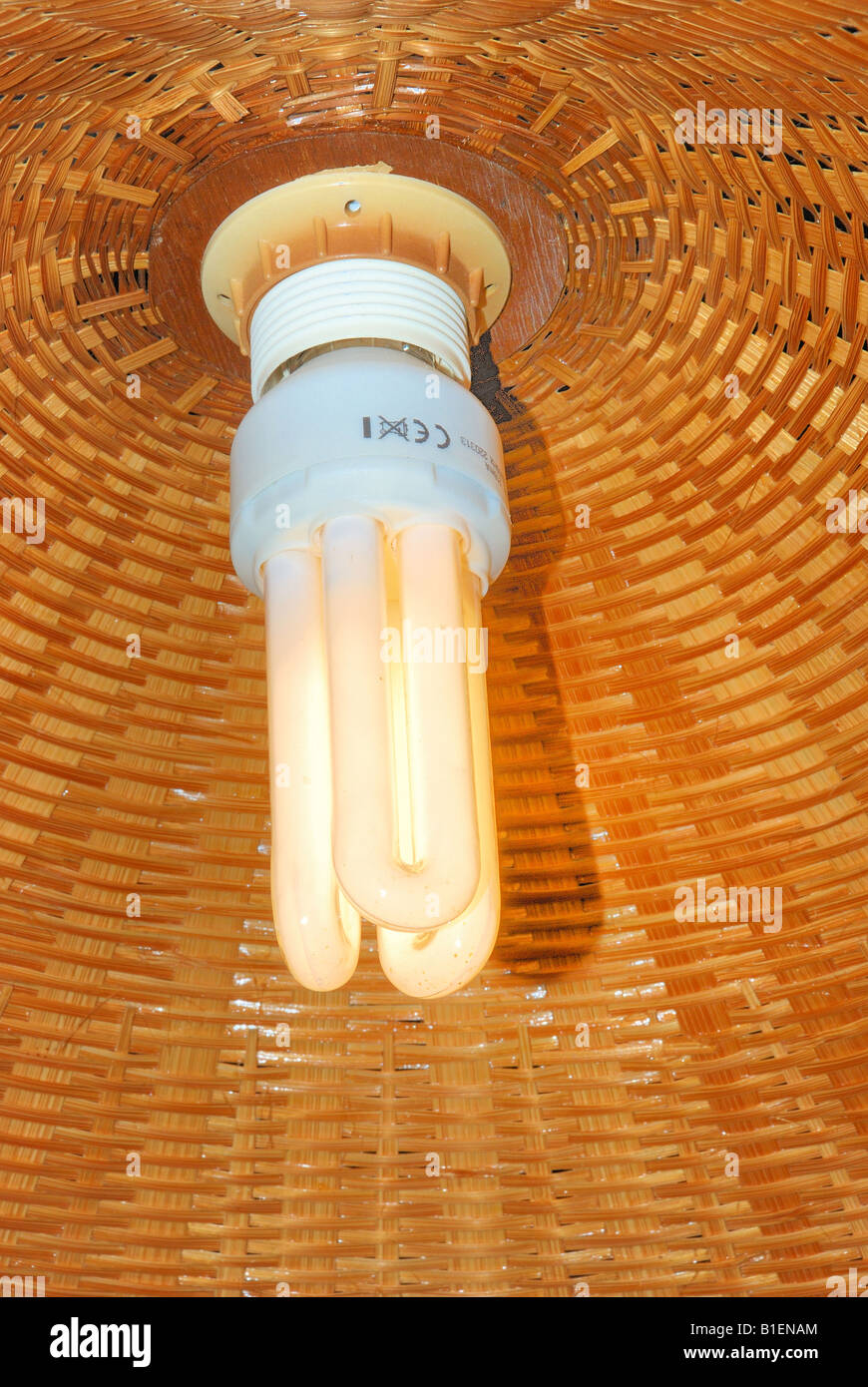 A compact fluorescent light bulb Stock Photo Alamy