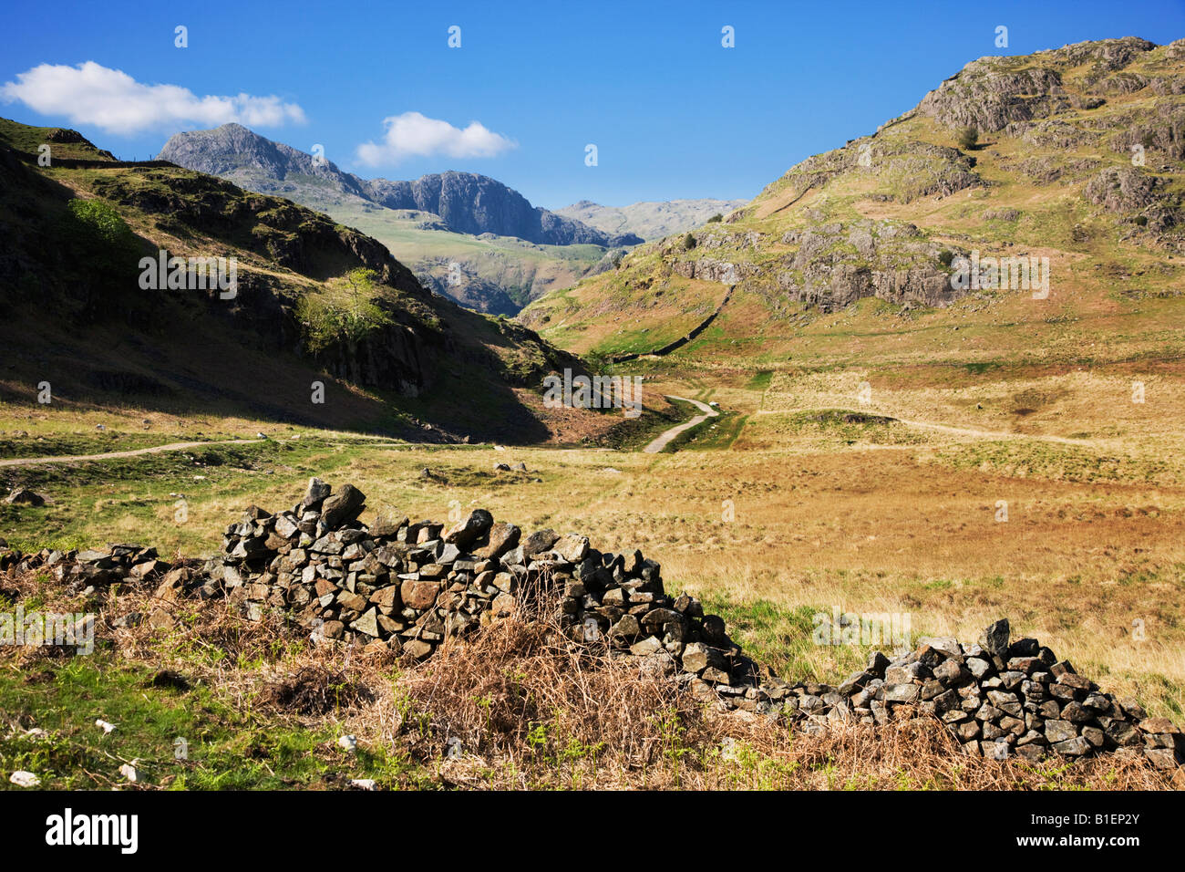 The 'Langdale Pikes' Seen In The Distance As Viewed From 'Side Pike' Near Blea Tarn, The 'Lake District' Cumbria England UK Stock Photo