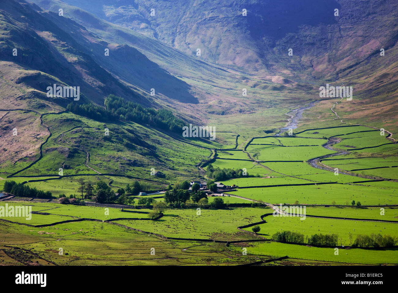 Great Langdale And New Dungeon Ghyll At The Foot Of The - 