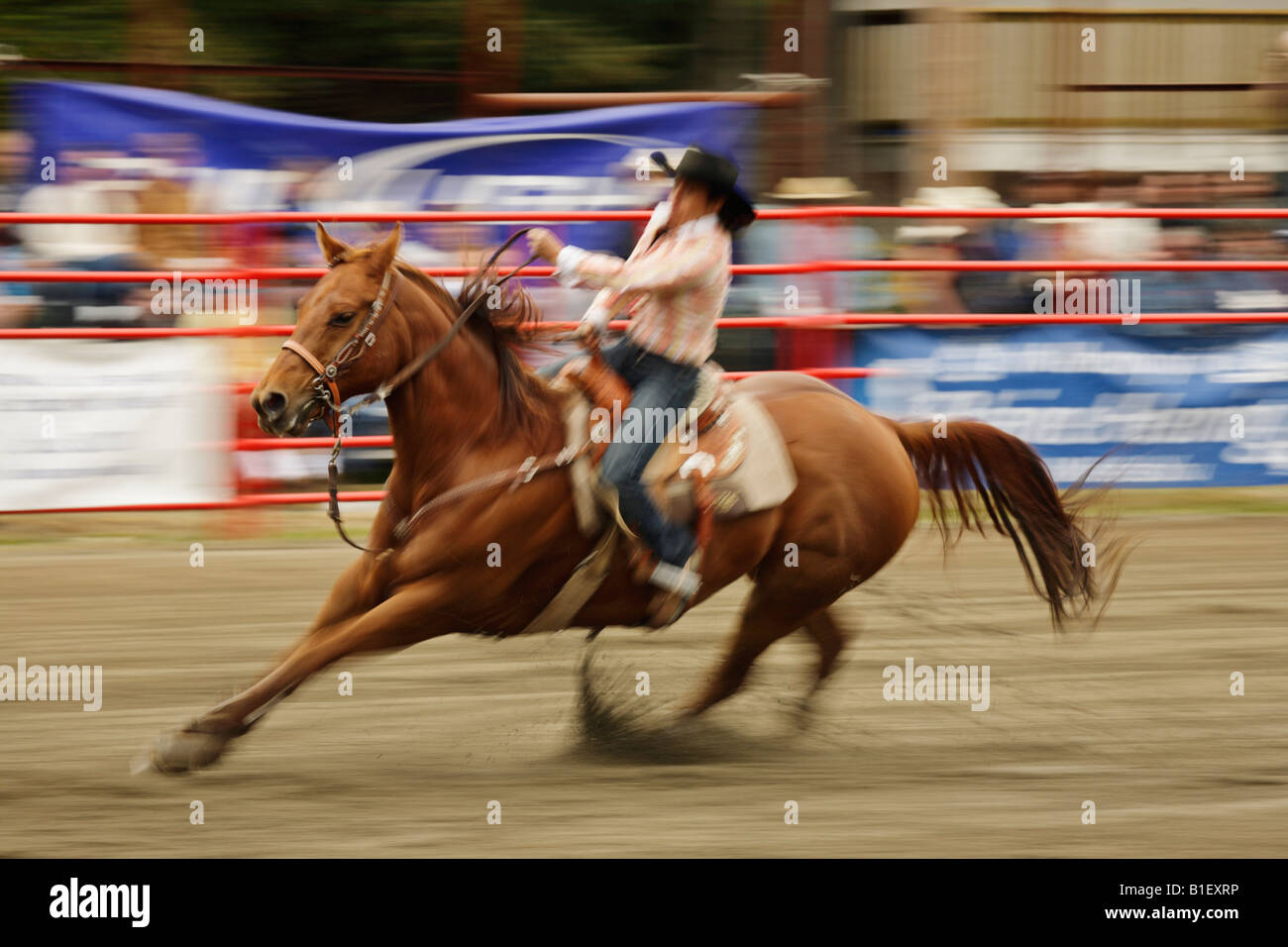 Barrel racing hi-res stock photography and images - Alamy