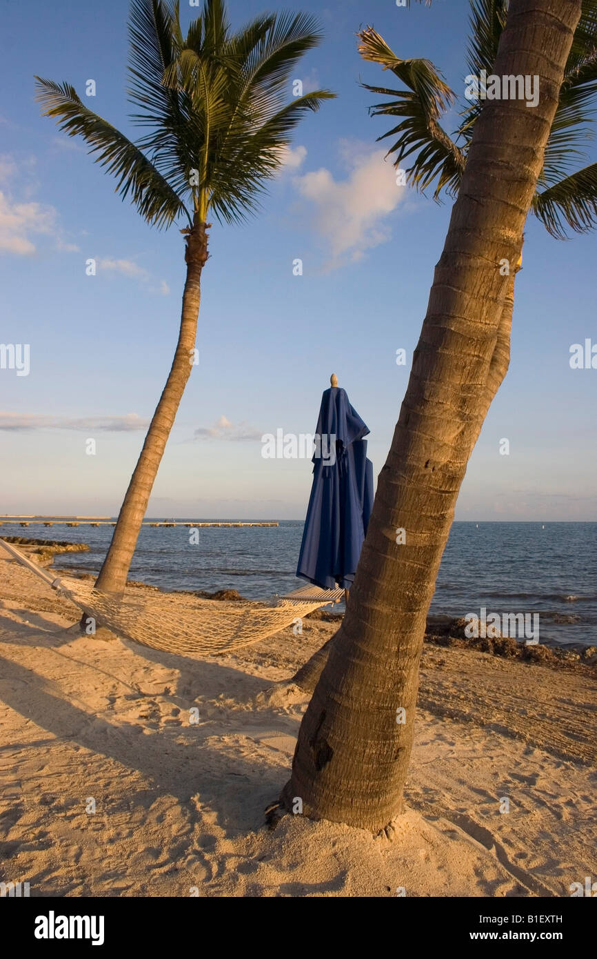 Hammock on beach near hotel at Key West, Florida Stock Photo Alamy
