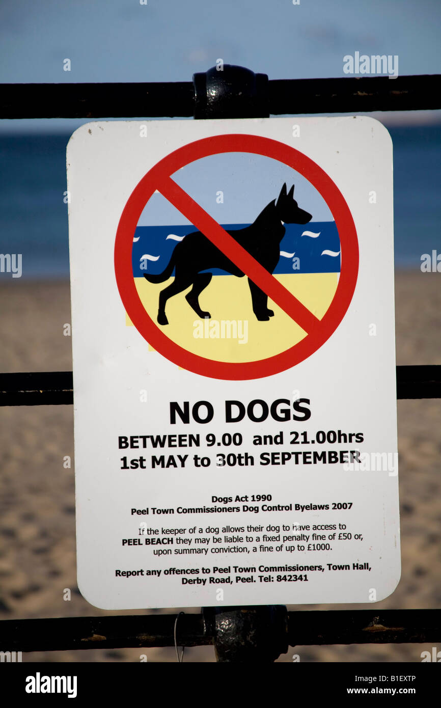 Sign no dog allowed on beach. Peel, Isle of Man.83108 Dog Sign