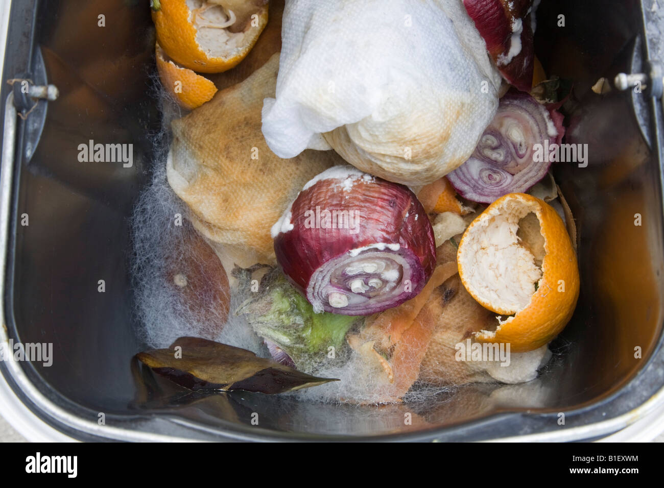 Mouldy vegetables in waste bin with fungus growing on rotten organic food Stock Photo