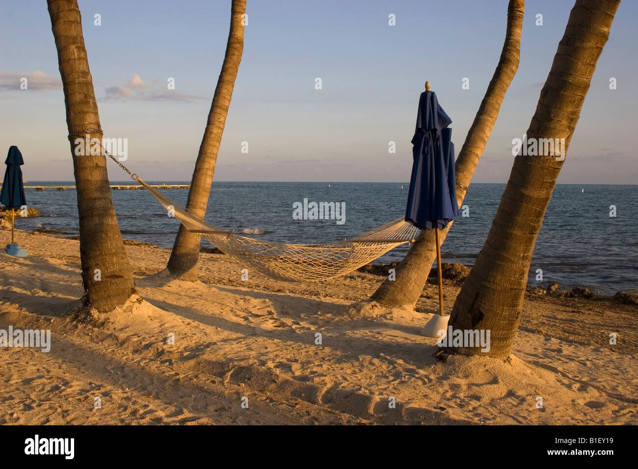 Hammock on beach near hotel at Key West, Florida Stock Photo Alamy