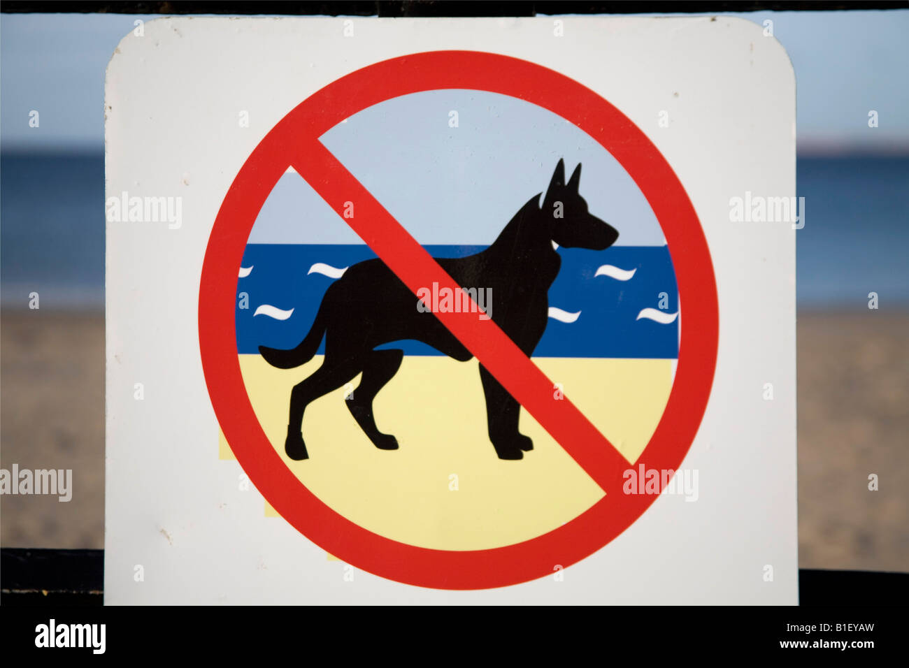 Sign no dog allowed on beach. Peel, Isle of Man.83106 Dog Sign Stock