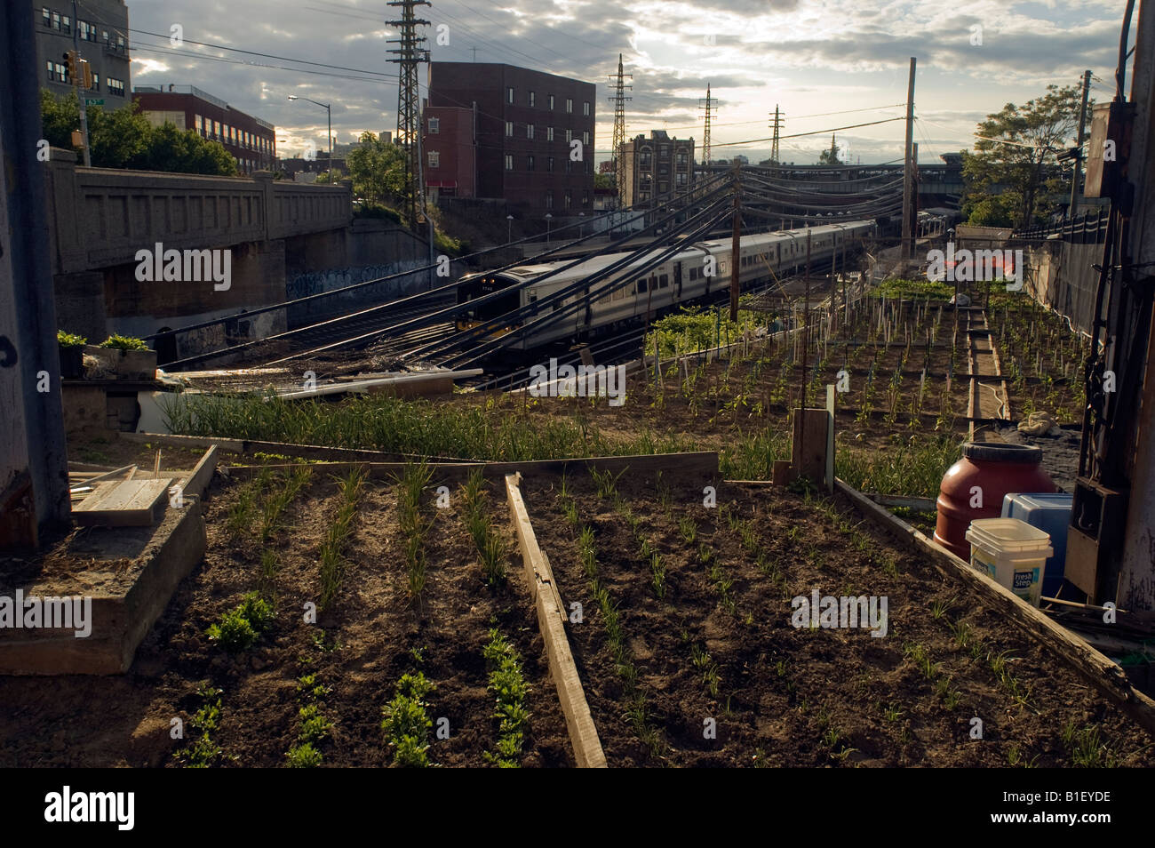 Woodside queens hires stock photography and images Alamy
