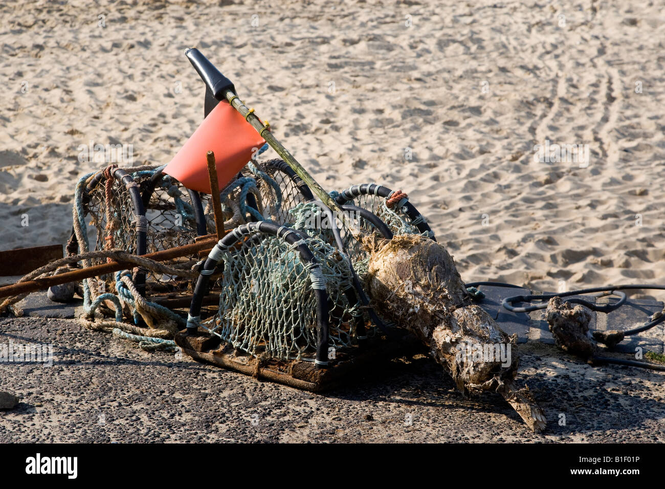 Fishing Nets Have Marker Flags Easier Stock Photo 552741529
