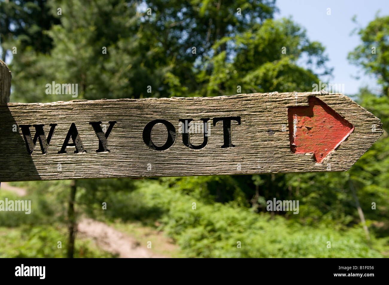 A wooden finger point sign in woodland saying way out Stock Photo